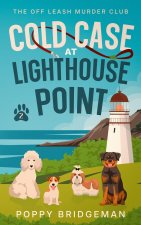 Cold Case At Lighthouse Point
