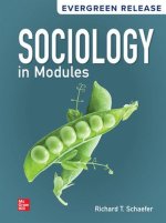 MHE High School Sociology in Modules