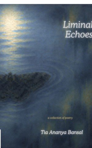 Liminal Echoes