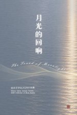 月光的回响